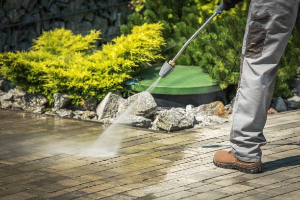 Best Pre-Holiday Cleaning  in Monona, WI